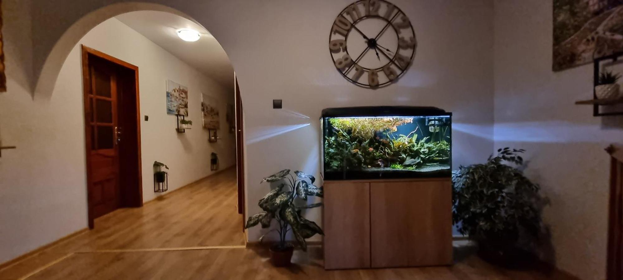 Noclegi Na Lacznej Swiebodzice Ngoại thất bức ảnh